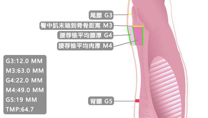 特色功能图片
